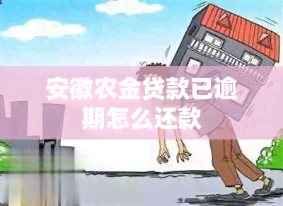 安徽农金贷款已逾期怎么还款