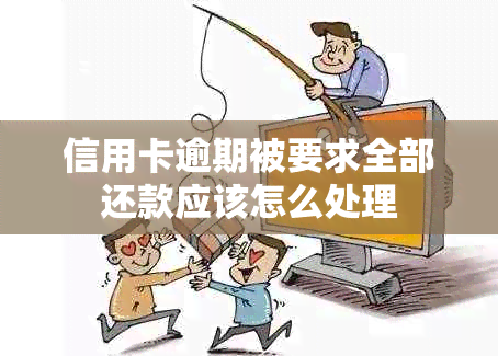 信用卡逾期被要求全部还款应该怎么处理