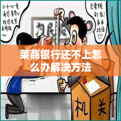 莱商银行还不上怎么办解决方法