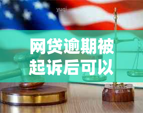 网贷逾期被起诉后可以分期付款吗