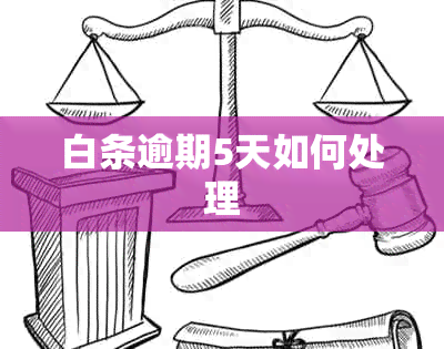白条逾期5天如何处理