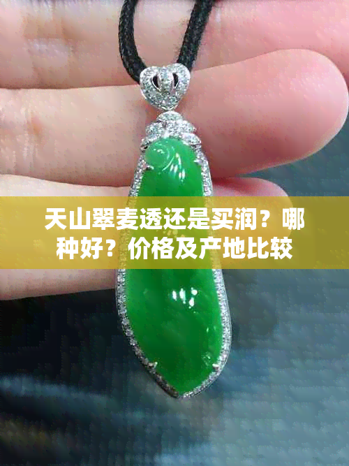 天山翠麦透还是买润？哪种好？价格及产地比较