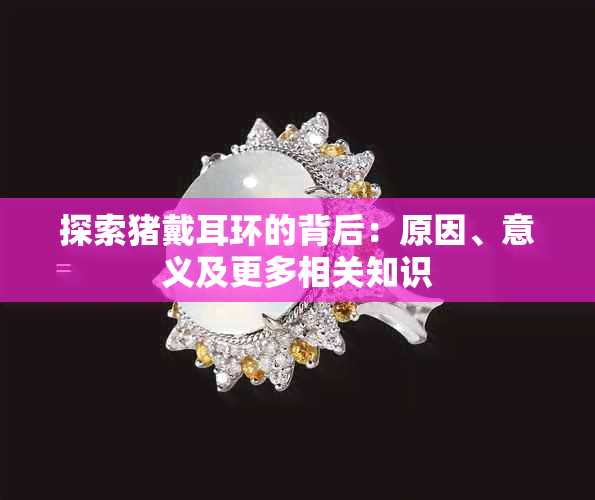 探索猪戴耳环的背后:原因、意义及更多相关知识