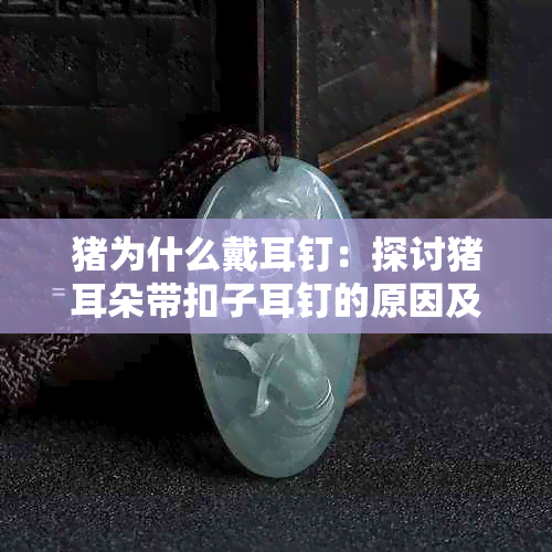 猪为什么戴耳钉:探讨猪耳朵带扣子耳钉的原因及不死之谜
