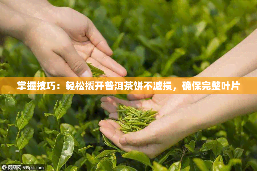 掌握技巧：轻松撬开普洱茶饼不减损，确保完整叶片