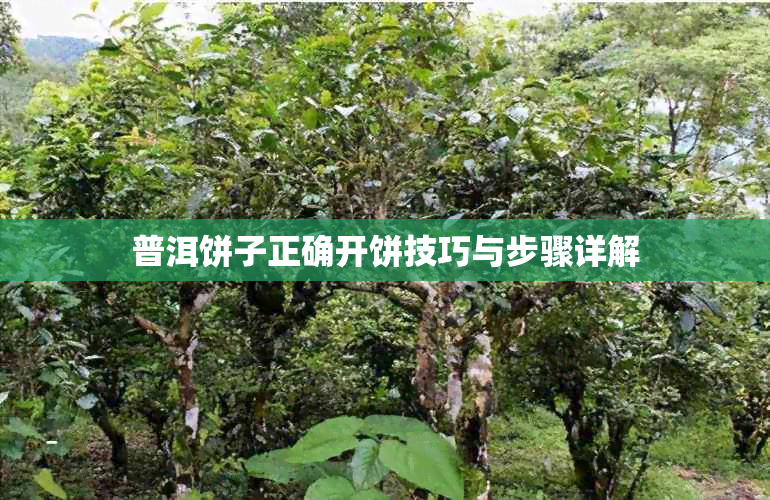 普洱饼子正确开饼技巧与步骤详解