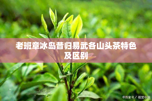 老班章冰岛昔归易武各山头茶特色及区别