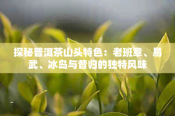 探秘普洱茶山头特色：老班章、易武、冰岛与昔归的独特风味