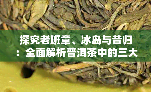 探究老班章、冰岛与昔归：全面解析普洱茶中的三大名寨