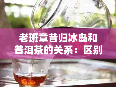 老班章昔归冰岛和普洱茶的关系:区别与联系老班章冰岛昔归易武曼松