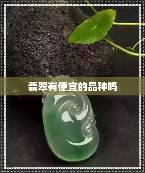翡翠有便宜的品种吗 翡翠有便宜的品种吗