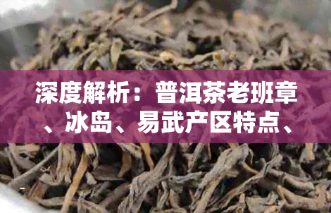 深度解析：普洱茶老班章、冰岛、易武产区特点、口感差异与品鉴指南