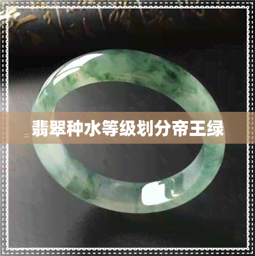 翡翠种水等级划分帝王绿