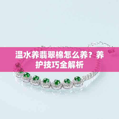 温水养翡翠棉怎么养？养护技巧全解析