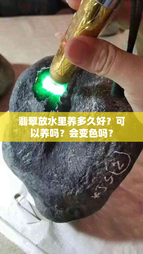 翡翠放水里养多久好？可以养吗？会变色吗？