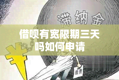 网贷有宽限期三天吗如何申请