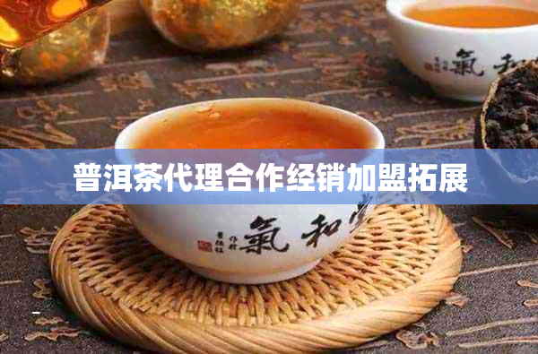 普洱茶代理合作经销加盟拓展