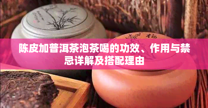 陈皮加普洱茶泡茶喝的功效、作用与禁忌详解及搭配理由