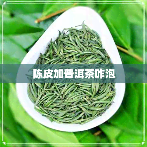 陈皮加普洱茶咋泡