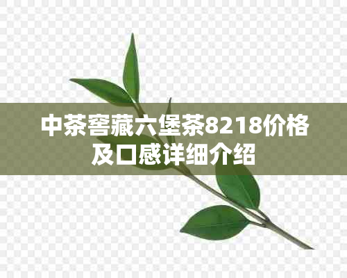 中茶窖藏六堡茶8218价格及口感详细介绍
