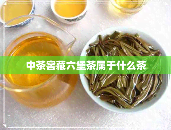 中茶窖藏六堡茶属于什么茶 中茶窖藏六堡茶属于什么茶