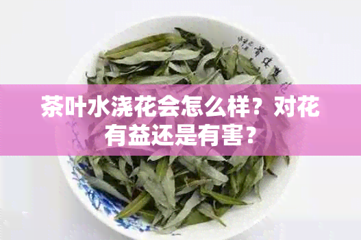 茶叶水浇花会怎么样?对花有益还是有害?