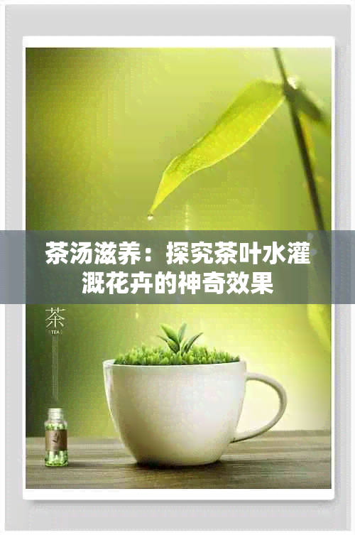茶汤滋养:探究茶叶水灌溉花卉的神奇效果