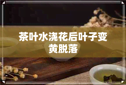 茶叶水浇花后叶子变黄脱落 茶叶水浇花后叶子变黄脱落