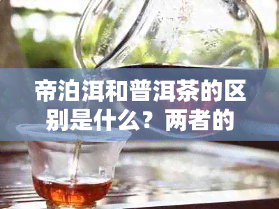 帝泊洱和普洱茶的区别是什么?两者的原料、加工工艺及饮用方式上有何差异?