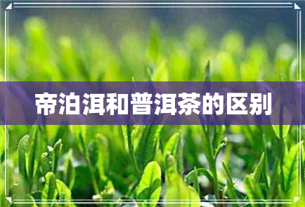 帝泊洱和普洱茶的区别 帝泊洱和普洱茶的区别