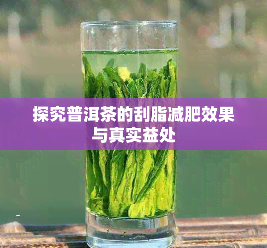 探究普洱茶的刮脂减肥效果与真实益处