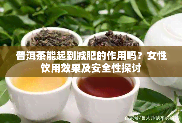 普洱茶能起到减肥的作用吗?女性饮用效果及安全性探讨