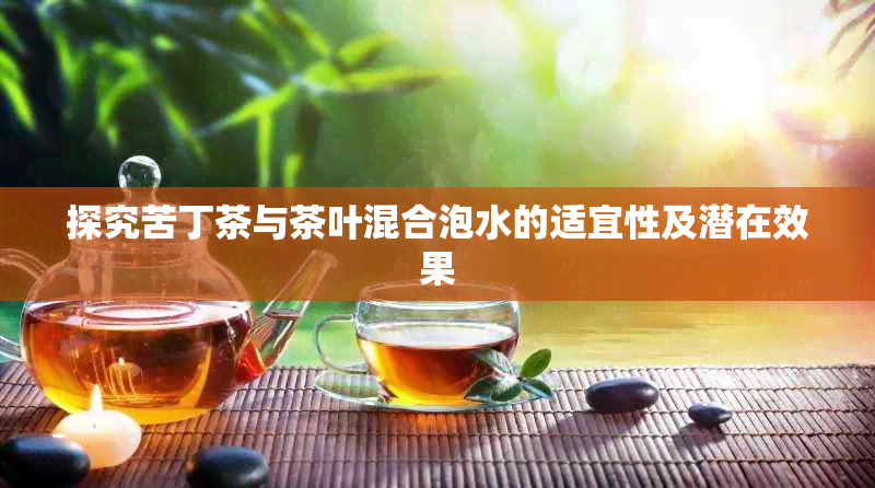 探究苦丁茶与茶叶混合泡水的适宜性及潜在效果
