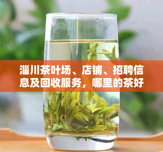 淄川茶叶场、店铺、招聘信息及回收服务,哪里的茶好?