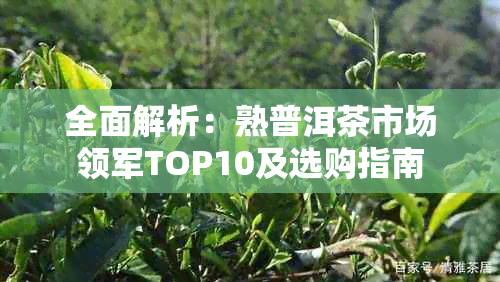 全面解析:熟普洱茶市场领军TOP10及选购指南