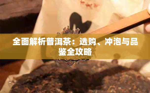 全面解析普洱茶:选购、冲泡与品鉴全攻略