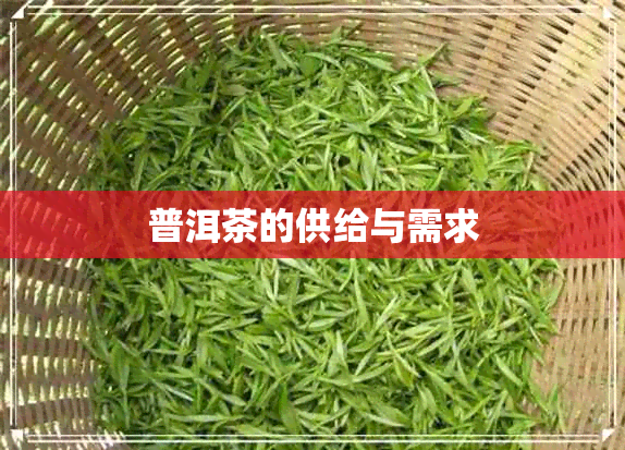 普洱茶的供给与需求 普洱茶的供给与需求