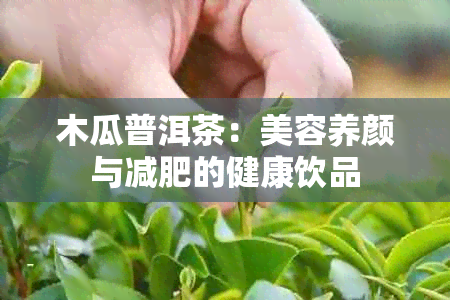 木瓜普洱茶:美容养颜与减肥的健康饮品
