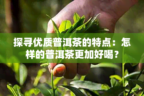 探寻优质普洱茶的特点:怎样的普洱茶更加好喝?