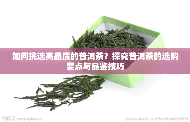 如何挑选高品质的普洱茶?探究普洱茶的选购要点与品鉴技巧