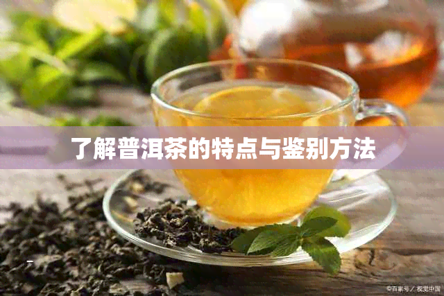 了解普洱茶的特点与鉴别方法