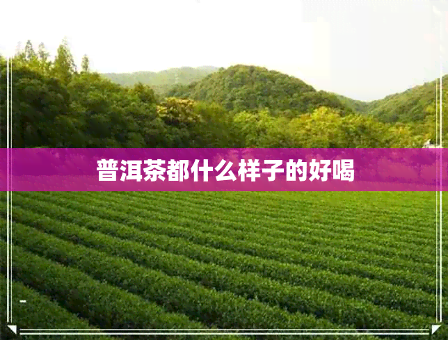 普洱茶都什么样子的好喝 普洱茶都什么样子的好喝