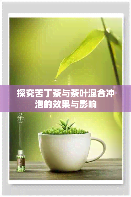 探究苦丁茶与茶叶混合冲泡的效果与影响
