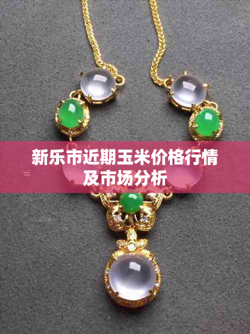 新乐市近期玉米价格行情及市场分析