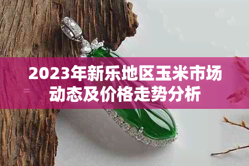 2023年新乐地区玉米市场动态及价格走势分析