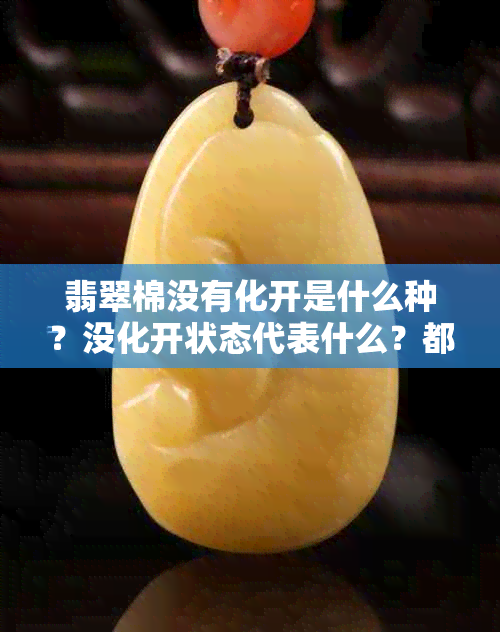 翡翠棉没有化开是什么种?没化开状态代表什么?都化开了表示种嫩吗?