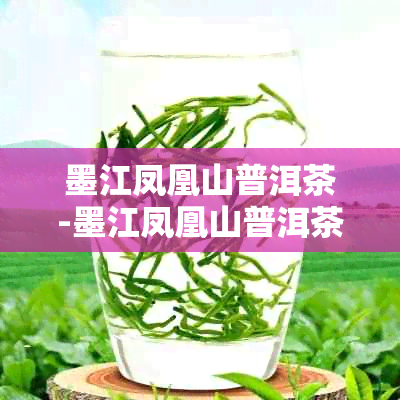 墨江凤凰山普洱茶-墨江凤凰山普洱茶的口感特点