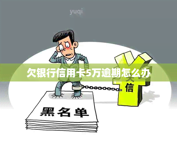 欠银行信用卡5万逾期怎么办