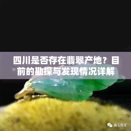 四川是否存在翡翠产地?目前的勘探与发现情况详解