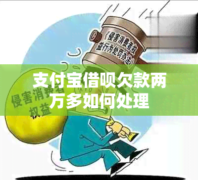 支付宝网贷欠款两万多如何处理